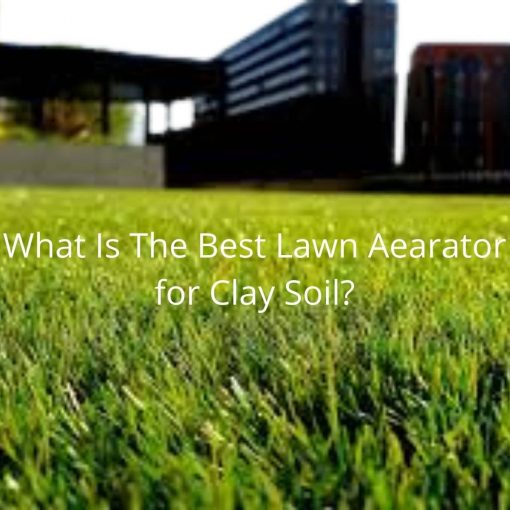 Best lawn aerator for clay soil